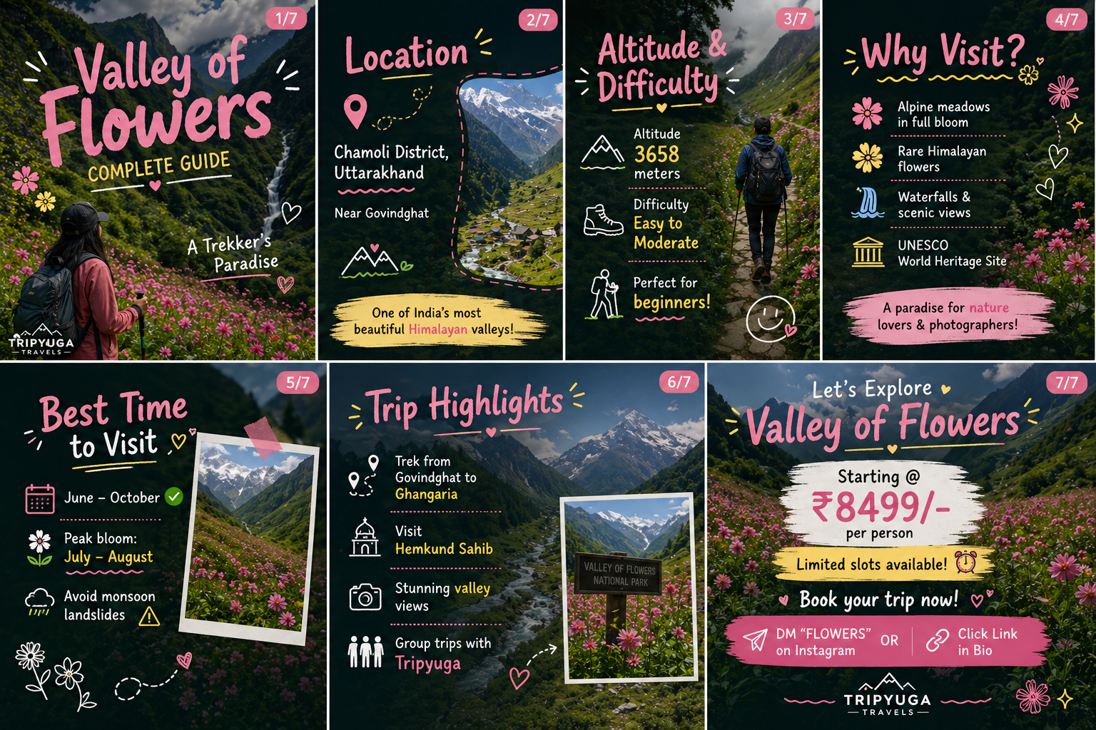 Valley of flowers